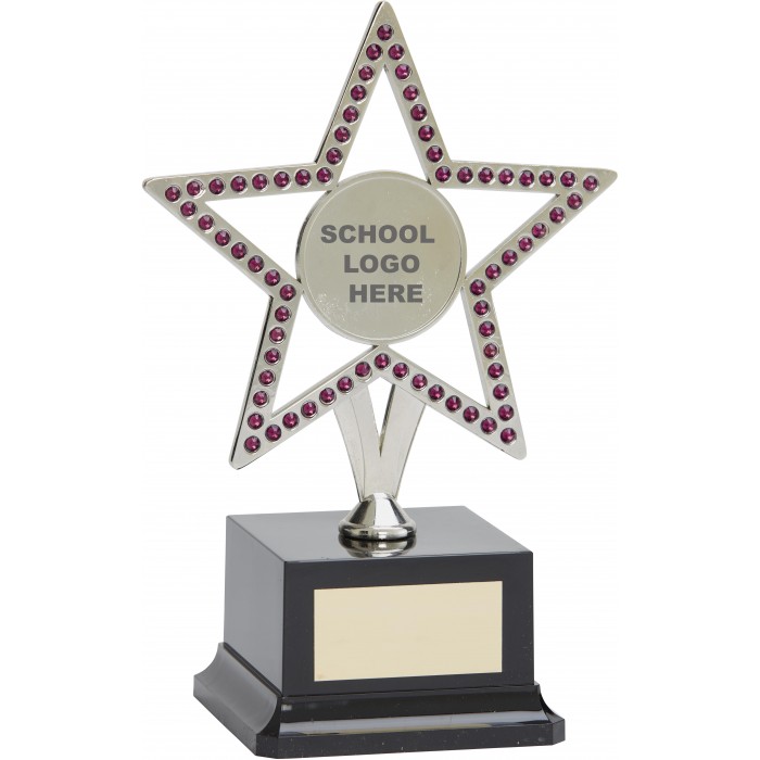  10'' SILVER METAL STAR WITH PURPLE GEMSTONES - CHOICE OF SPORTS CENTRE 